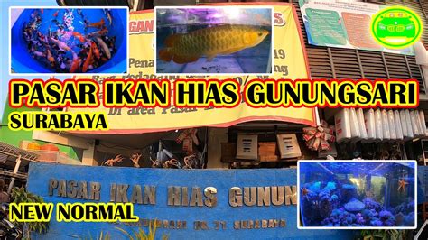 Pasar Ikan Hias Surabaya