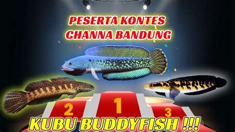 Kontes Channa Bandung