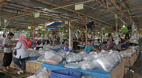 Jam Operasional Pasar Ikan Hias Parung
